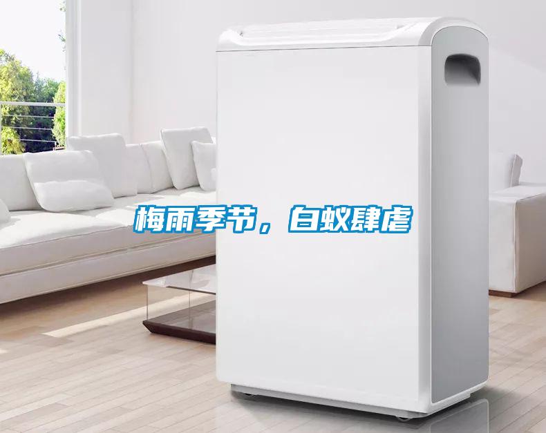 梅雨季節(jié)，白蟻肆虐