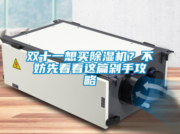雙十一想買(mǎi)除濕機(jī)？不妨先看看這篇剁手攻略