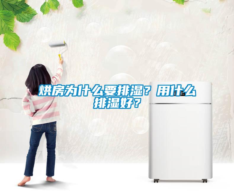 烘房為什么要排濕？用什么排濕好？