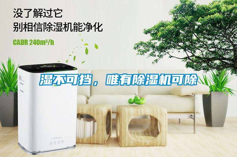 濕不可擋，唯有除濕機(jī)可除