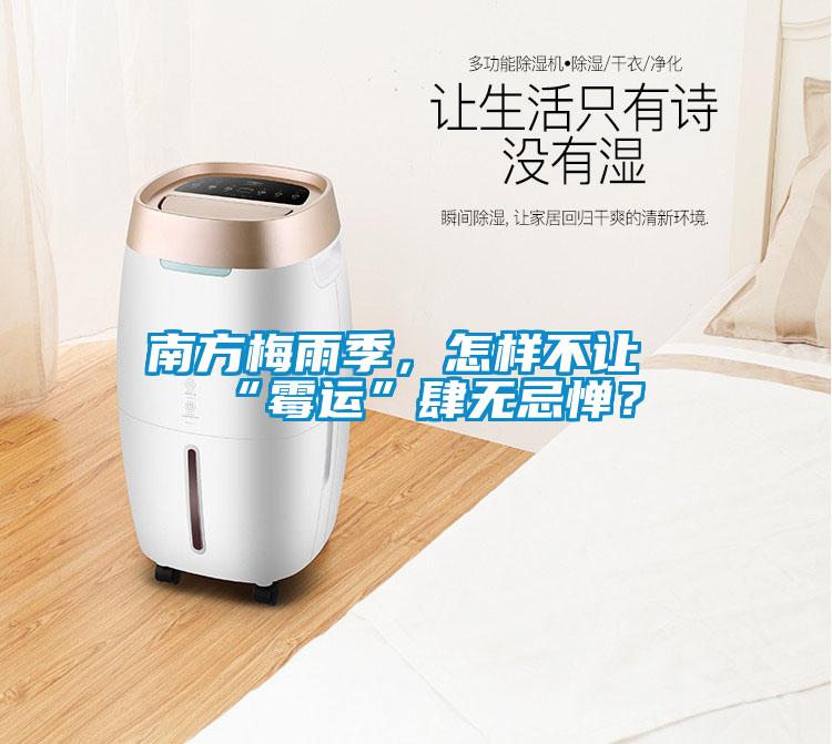 南方梅雨季，怎樣不讓“霉運”肆無忌憚？