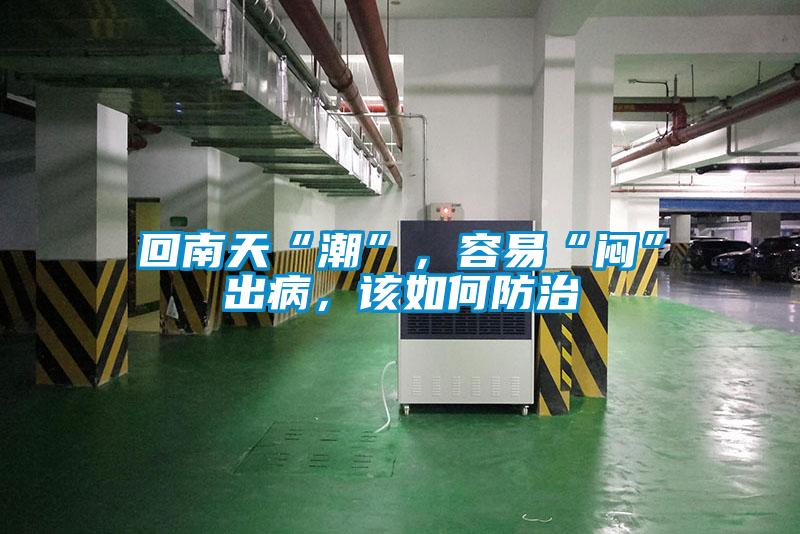 回南天“潮”，容易“悶”出病，該如何防治