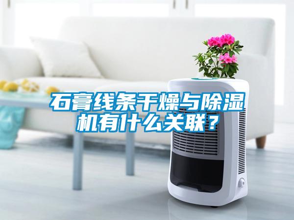 石膏線條干燥與除濕機有什么關(guān)聯(lián)？