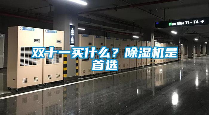 雙十一買什么？除濕機(jī)是首選