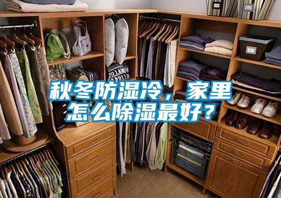 秋冬防濕冷，家里怎么除濕最好？