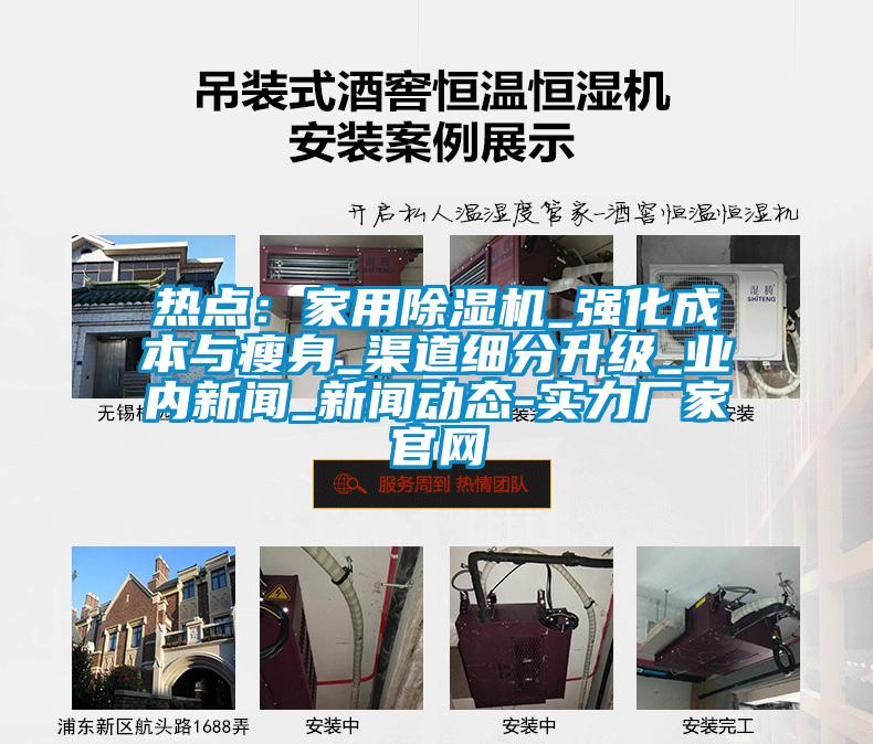 熱點(diǎn)：家用除濕機(jī)_強(qiáng)化成本與瘦身_渠道細(xì)分升級_業(yè)內(nèi)新聞_新聞動(dòng)態(tài)-實(shí)力廠家官網(wǎng)