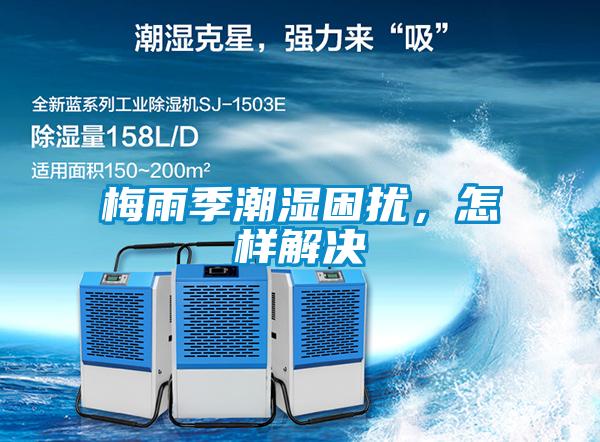 梅雨季潮濕困擾，怎樣解決