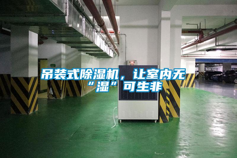 吊裝式除濕機(jī)，讓室內(nèi)無(wú)“濕”可生非