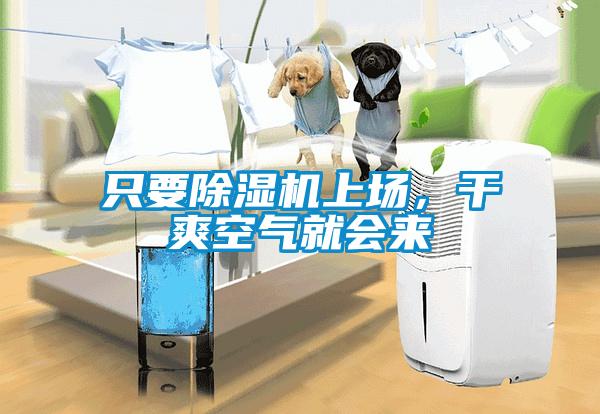 只要除濕機(jī)上場(chǎng)，干爽空氣就會(huì)來(lái)