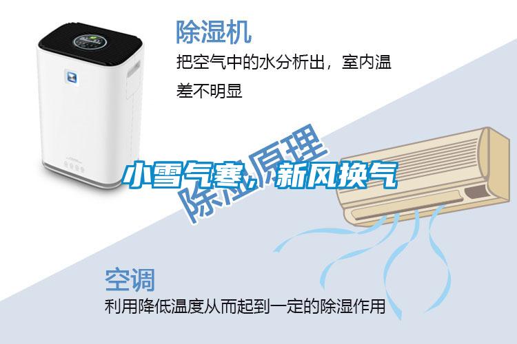 小雪氣寒，新風換氣