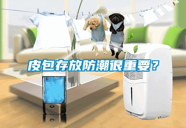 皮包存放防潮很重要？
