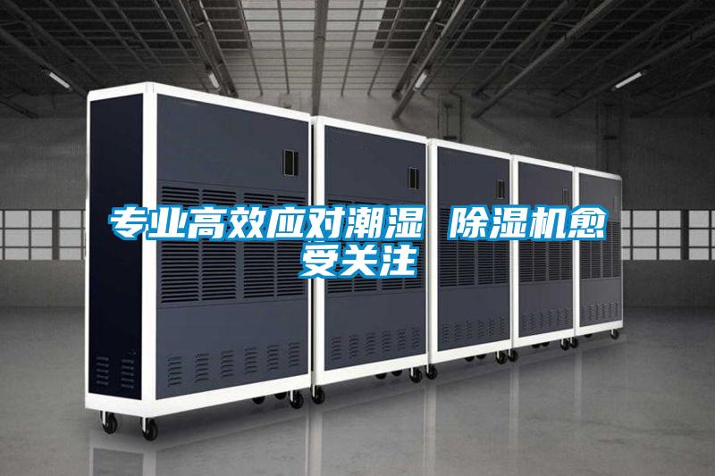 專業(yè)高效應對潮濕 除濕機愈受關注