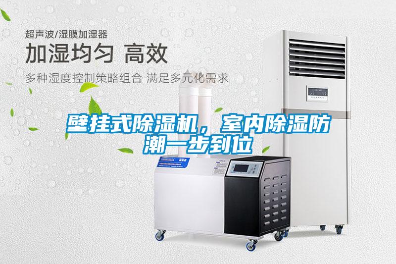 壁掛式除濕機，室內(nèi)除濕防潮一步到位