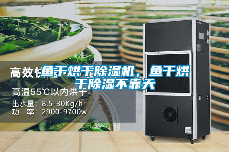 魚干烘干除濕機，魚干烘干除濕不靠天