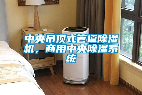 中央吊頂式管道除濕機(jī)，商用中央除濕系統(tǒng)