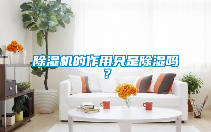 除濕機(jī)的作用只是除濕嗎？