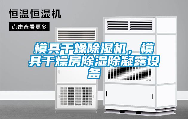 模具干燥除濕機，模具干燥房除濕除凝露設(shè)備