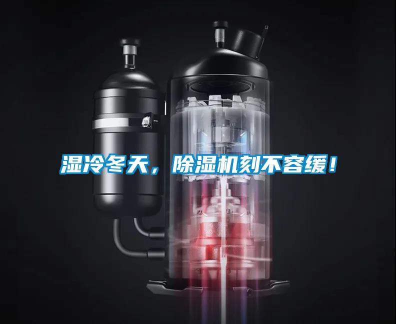 濕冷冬天，除濕機刻不容緩！