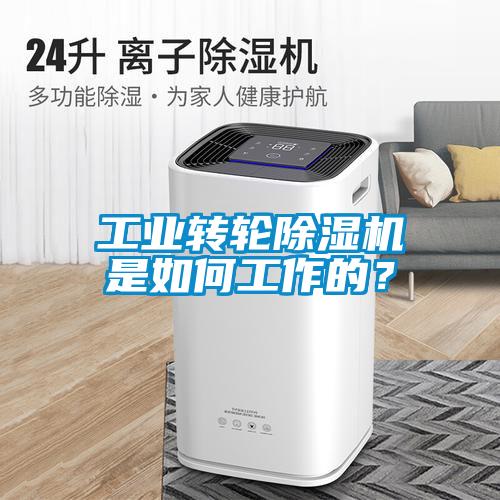 工業(yè)轉(zhuǎn)輪除濕機(jī)是如何工作的？