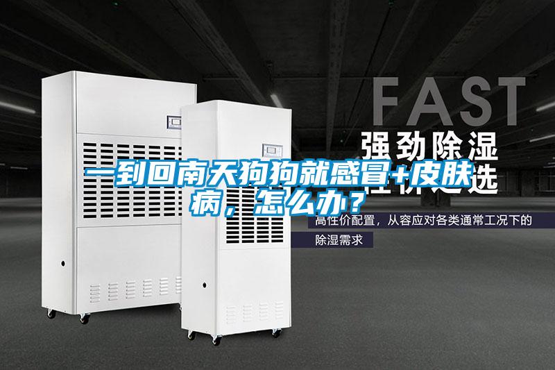 一到回南天狗狗就感冒+皮膚病，怎么辦？