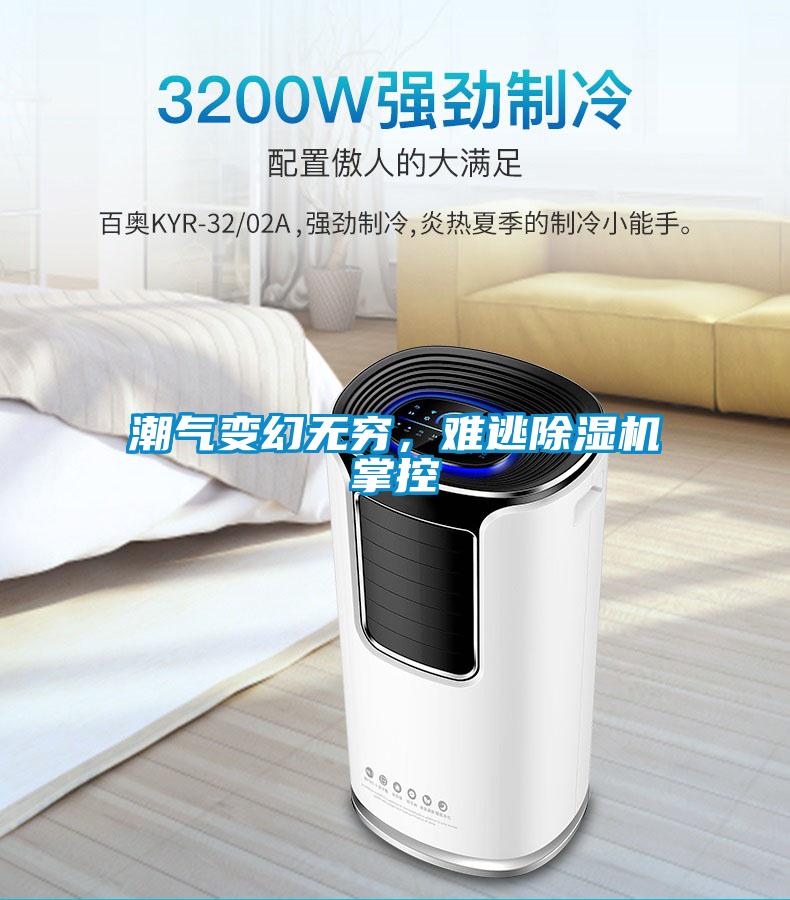 潮氣變幻無窮，難逃除濕機(jī)掌控