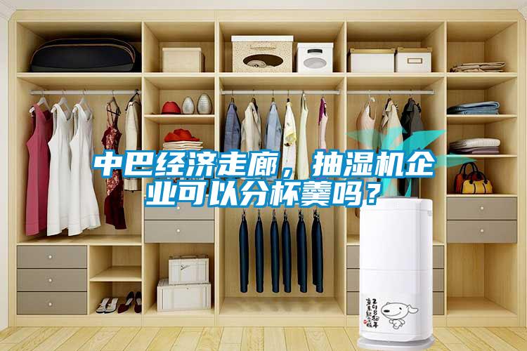 中巴經(jīng)濟(jì)走廊，抽濕機(jī)企業(yè)可以分杯羹嗎？