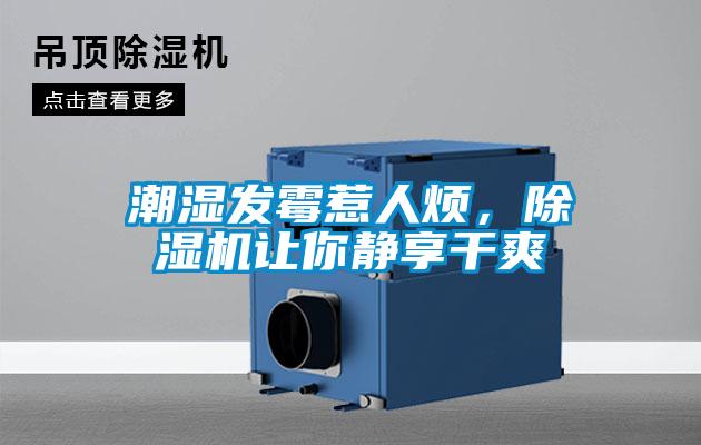 潮濕發(fā)霉惹人煩，除濕機(jī)讓你靜享干爽