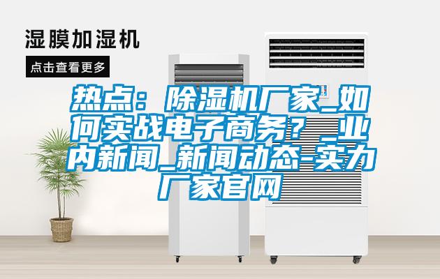 熱點(diǎn)：除濕機(jī)廠家_如何實(shí)戰(zhàn)電子商務(wù)？_業(yè)內(nèi)新聞_新聞動態(tài)-實(shí)力廠家官網(wǎng)