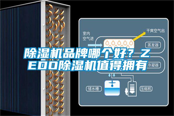 除濕機品牌哪個好？ZEDO除濕機值得擁有