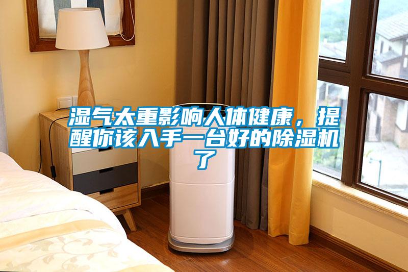 濕氣太重影響人體健康，提醒你該入手一臺(tái)好的除濕機(jī)了