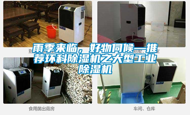雨季來(lái)臨，好物伺候—推薦環(huán)科除濕機(jī)之大型工業(yè)除濕機(jī)