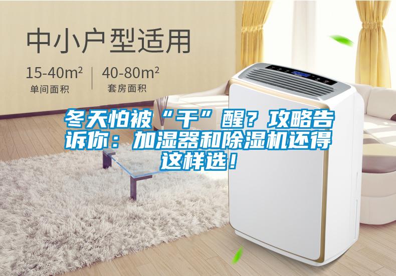 冬天怕被“干”醒？攻略告訴你：加濕器和除濕機還得這樣選！