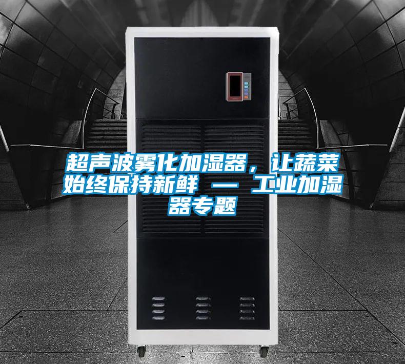 超聲波霧化加濕器，讓蔬菜始終保持新鮮 — 工業(yè)加濕器專題
