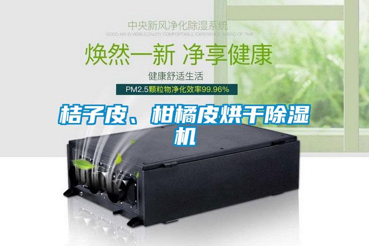 桔子皮、柑橘皮烘干除濕機