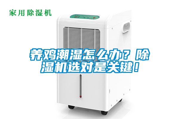 養(yǎng)雞潮濕怎么辦？除濕機(jī)選對(duì)是關(guān)鍵！