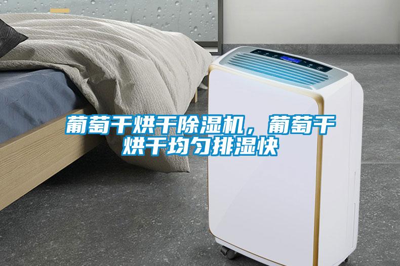 葡萄干烘干除濕機，葡萄干烘干均勻排濕快