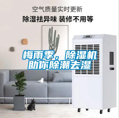 梅雨季，除濕機助你除潮去濕