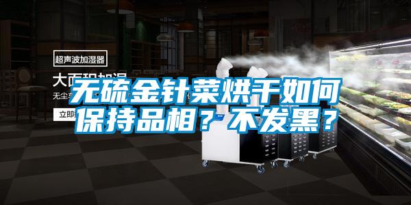 無硫金針菜烘干如何保持品相？不發(fā)黑？