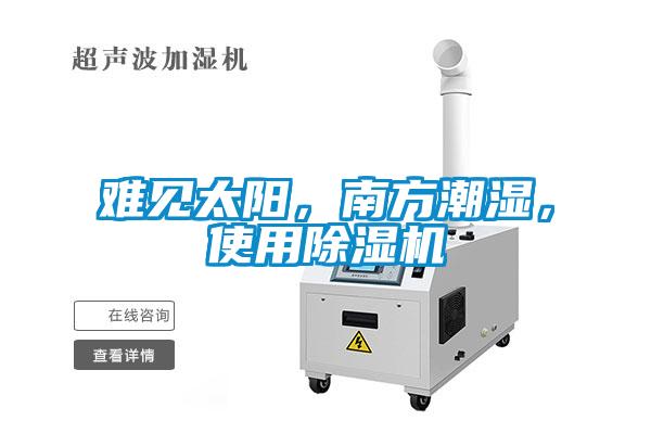 難見太陽，南方潮濕，使用除濕機
