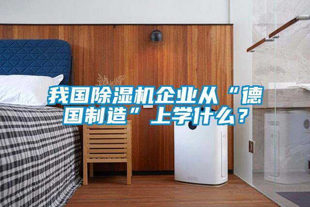 我國除濕機企業(yè)從“德國制造”上學什么？