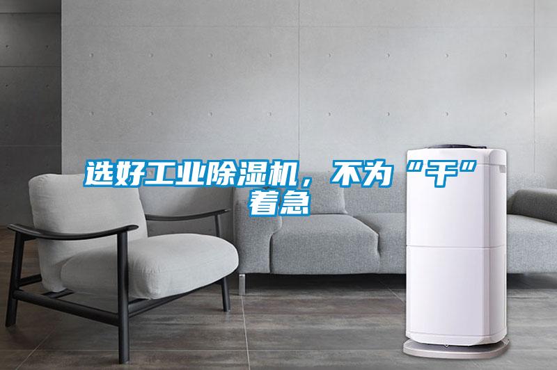 選好工業(yè)除濕機(jī)，不為“干”著急