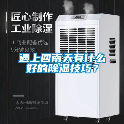 遇上回南天有什么好的除濕技巧？