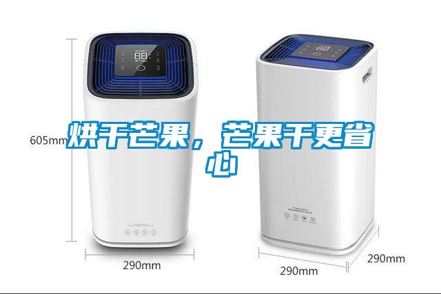 烘干芒果，芒果干更省心