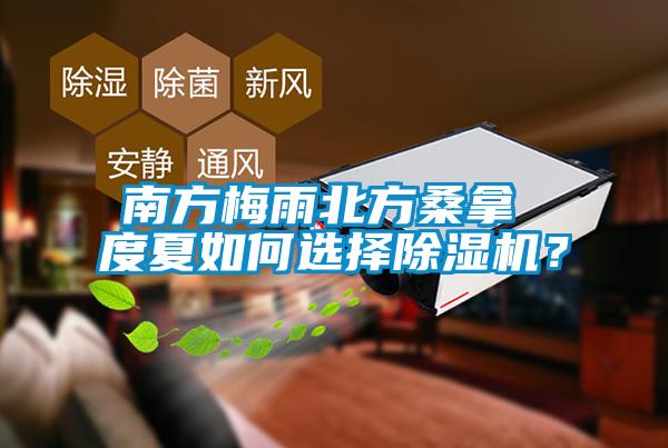 南方梅雨北方桑拿 度夏如何選擇除濕機？