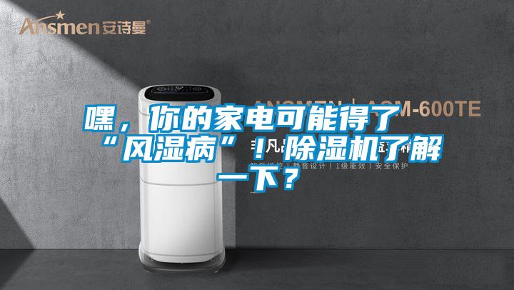 嘿，你的家電可能得了“風(fēng)濕病”！除濕機(jī)了解一下？