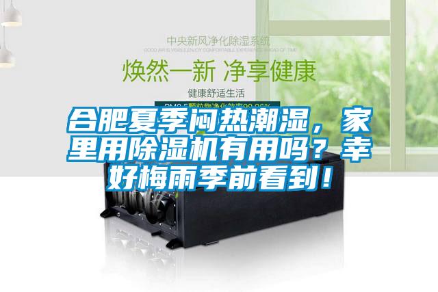 合肥夏季悶熱潮濕，家里用除濕機有用嗎？幸好梅雨季前看到！