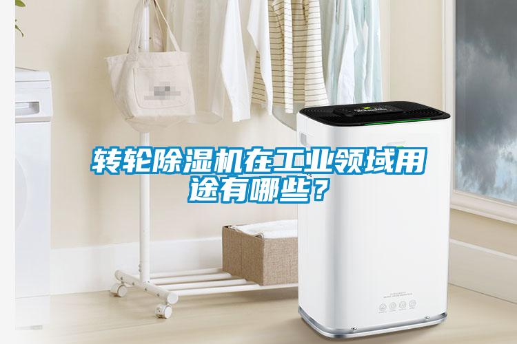 轉(zhuǎn)輪除濕機(jī)在工業(yè)領(lǐng)域用途有哪些？