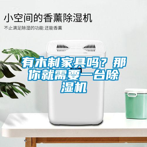 有木制家具嗎？那你就需要一臺除濕機(jī)