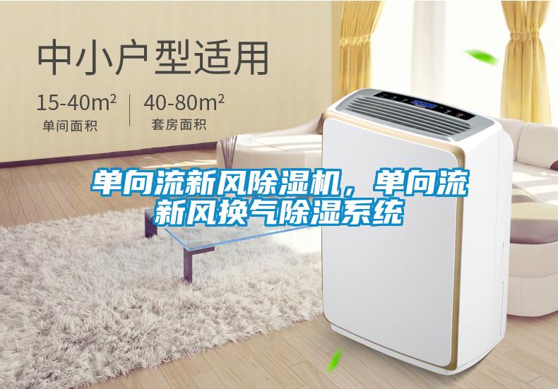 單向流新風除濕機，單向流新風換氣除濕系統(tǒng)