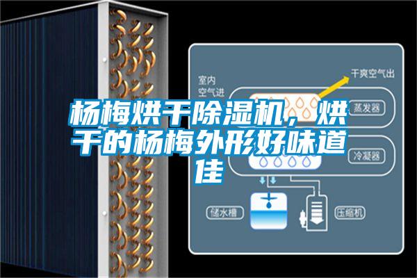 楊梅烘干除濕機(jī)，烘干的楊梅外形好味道佳